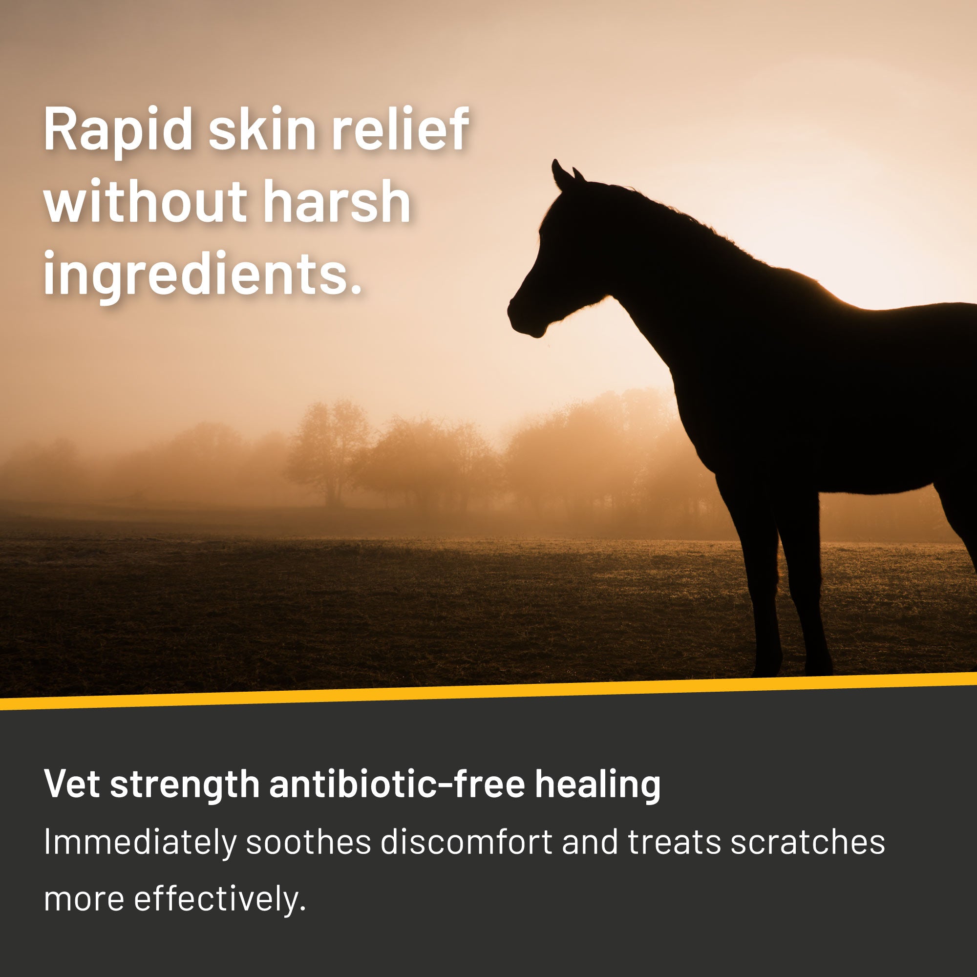 Silver Honey® Rapid Skin Relief Vet Strength Scratches Spray Wound Care Absorbine   