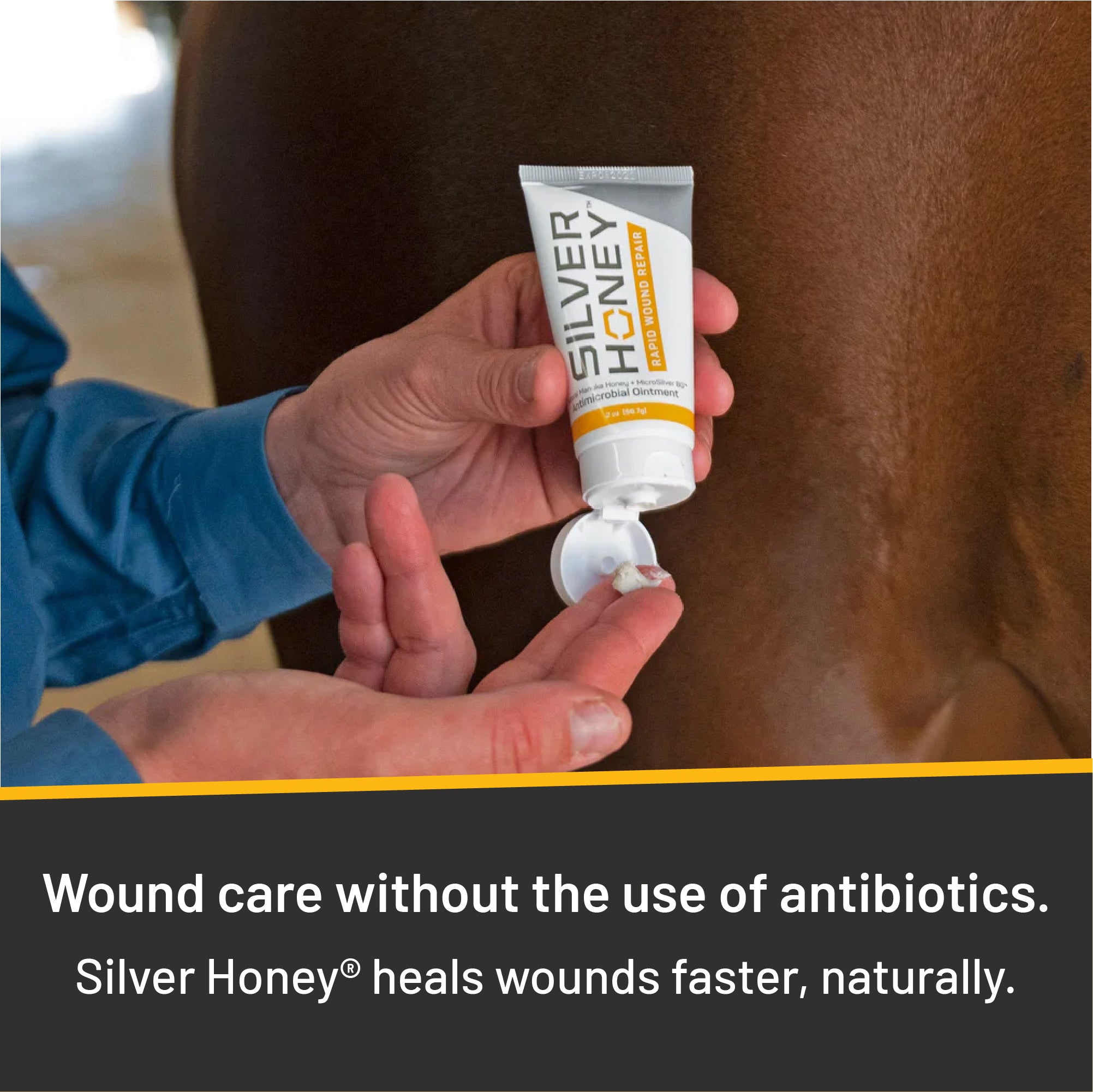 Silver Honey® Rapid Wound Repair Ointment Wound Care absorbine   