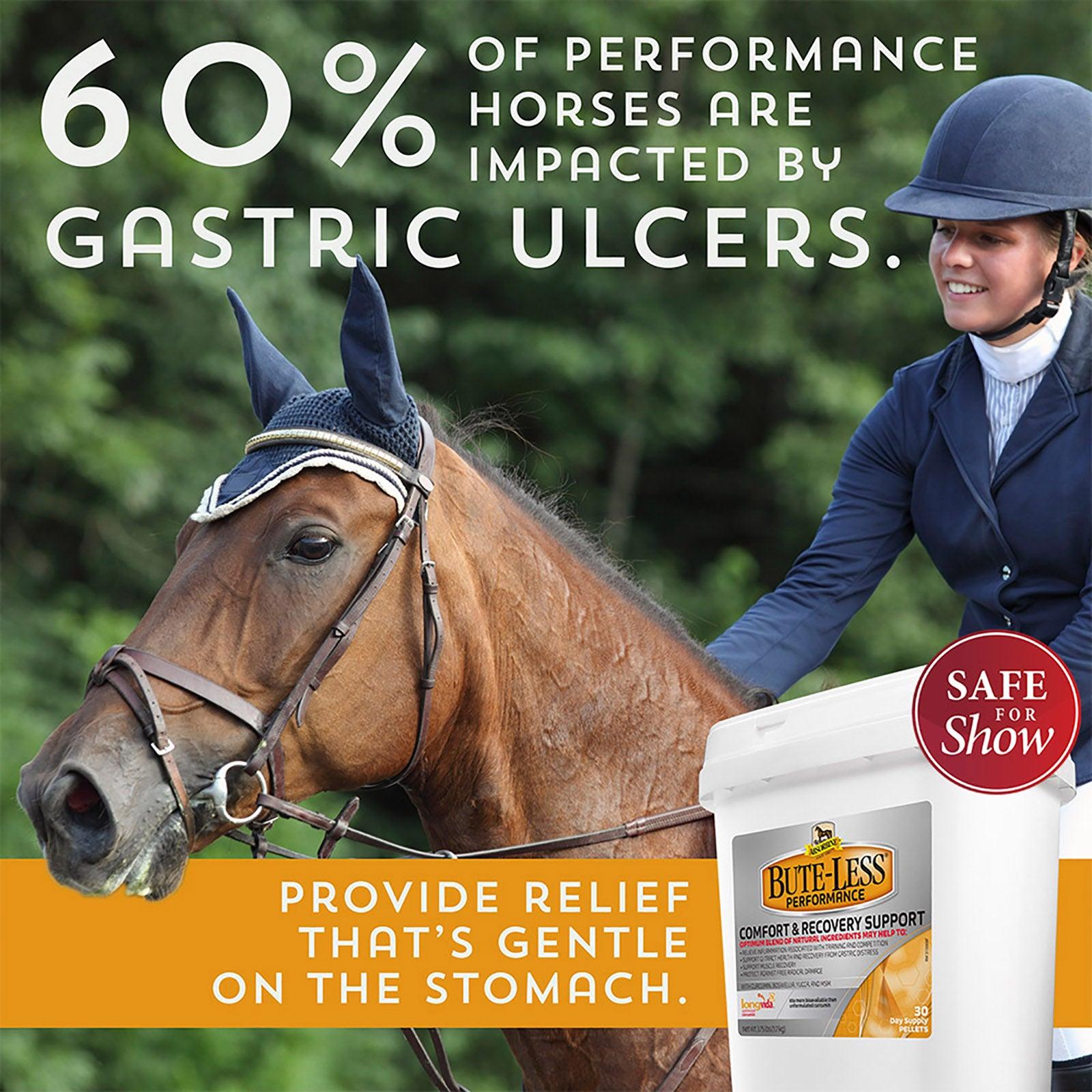 Bute-Less® Performance Comfort & Recovery Supplement Pellets Supplements absorbine   