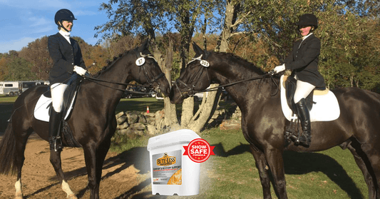 Bute-Less® Performance - What We Love - Absorbine