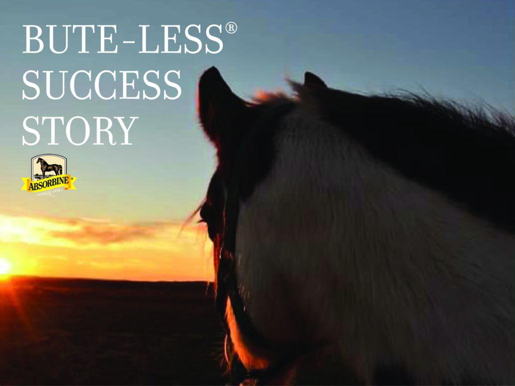 A Bute-Less® Success Story From A Therapeutic Riding Program