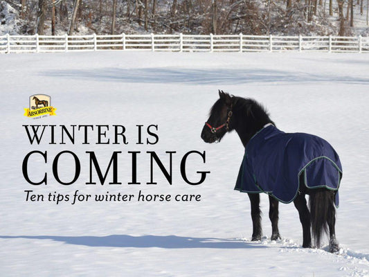Ten Tips for Winter Horse Care - Absorbine