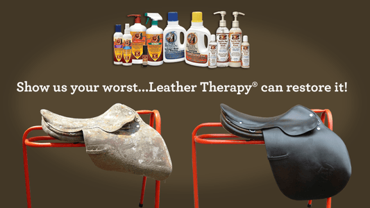 Protect Leather Against Dry Winter And Humid Summer