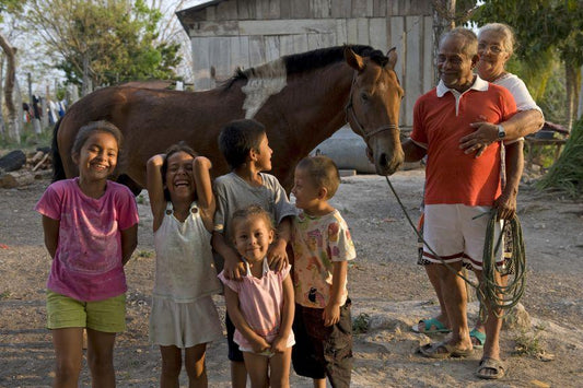 Getting to Know Brooke and the World’s Working Equines - Absorbine