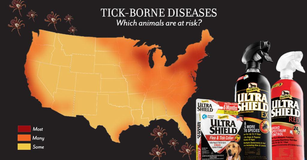 Tick-Borne Disease in Horses and Dogs - Absorbine