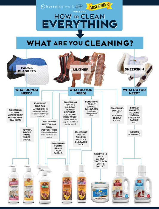 The Leather Therapy Infographic - Absorbine