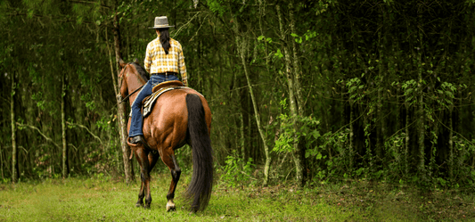 4 Ways to Create a Fly-Free Zone - Absorbine