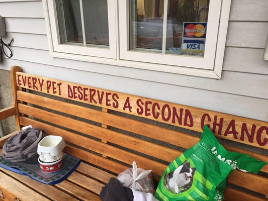 Absorbine Volunteer Days - Second Chance Rescue - Absorbine