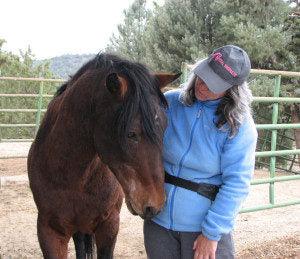 Ranger The Senior Mustang