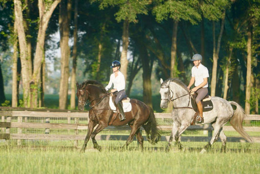 Sinead Halpin Eventing Joins Team Absorbine - Absorbine