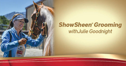 6 Grooming Tips From Julie Goodnight - Absorbine