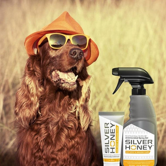 Red dog in a field with sunglasses and an orange hat, and Absorbine Silver Honey Hot Spot & Wound Care packaging