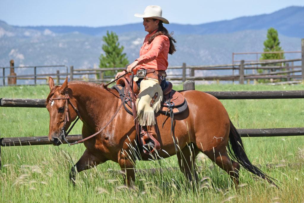 How To Use Leather Therapy® by Julie Goodnight - Absorbine