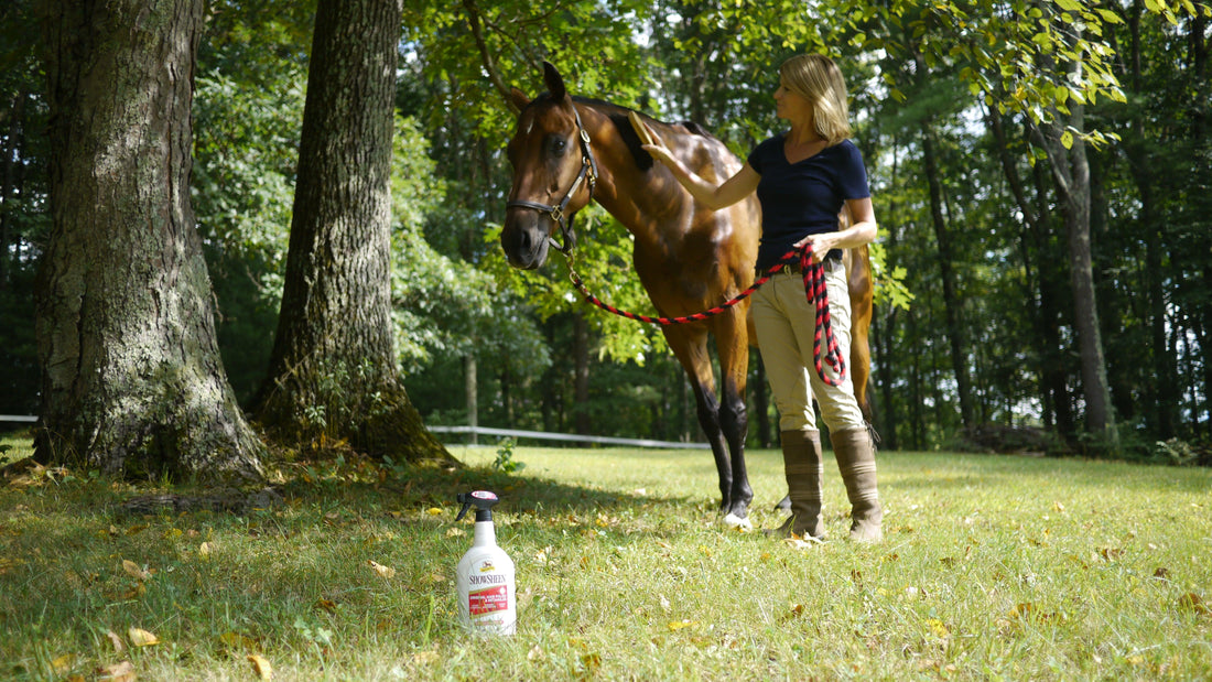 Horse Grooming For Health & Wellness - Absorbine