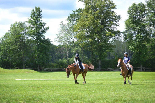 A Day with Team Absorbine® Rider Ian Millar - Absorbine