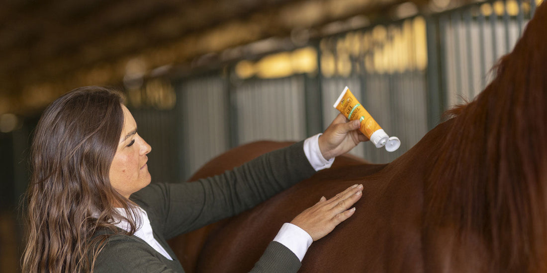 Applying Absorbine liniment gel