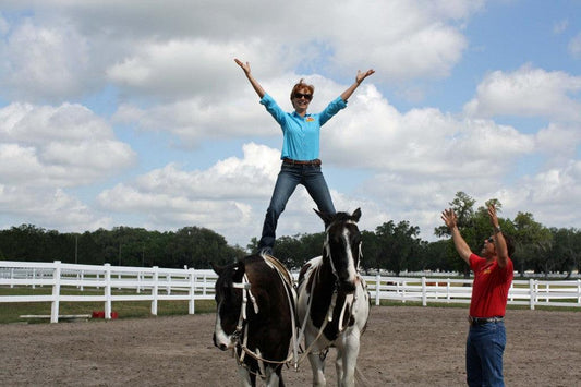 Extreme Equine Experience Absorbine