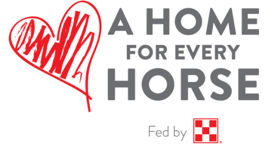 A Home For Every Horse Helping Rescues - Absorbine