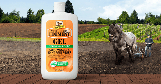 What Is Absorbine Veterinary Liniment Gel? - Absorbine