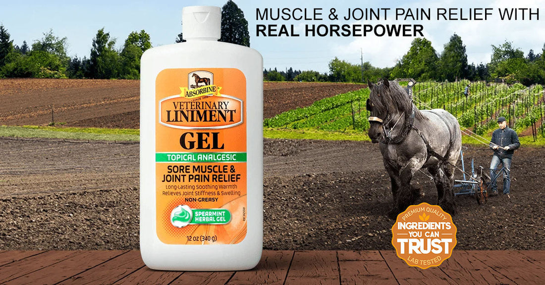 What Is Absorbine® Veterinary Liniment Gel?