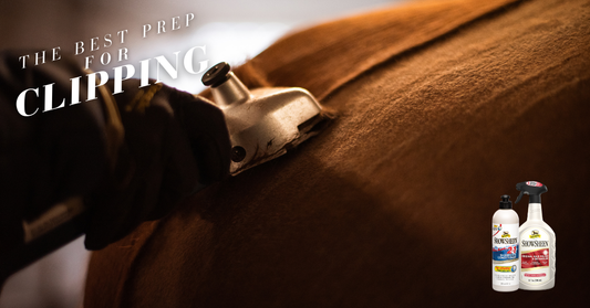Horse coat being clipped and ShowSheen bottles