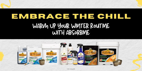 Embrace The Chill By Warming Up Your Winter Routine