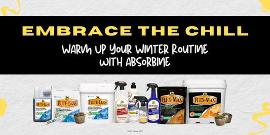 Embrace The Chill By Warming Up Your Winter Routine