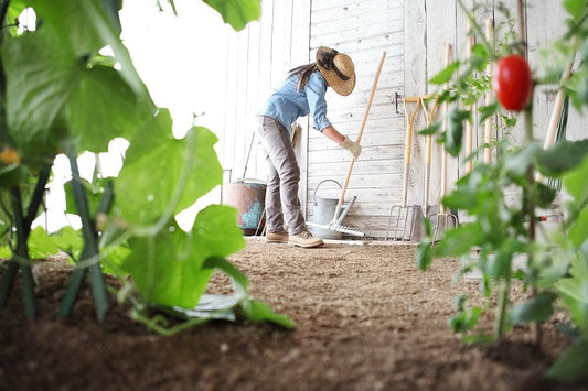 The Rise of Hobby Farms: Five Fast Facts Absorbine