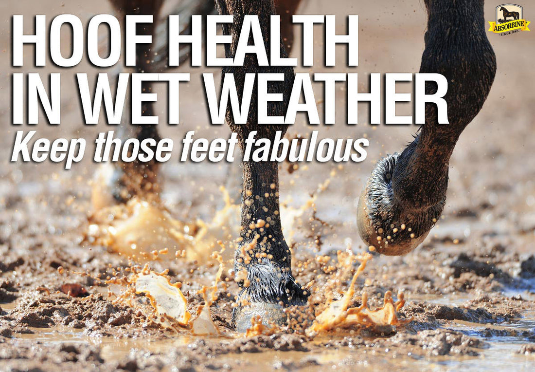 Wet weather hoof article