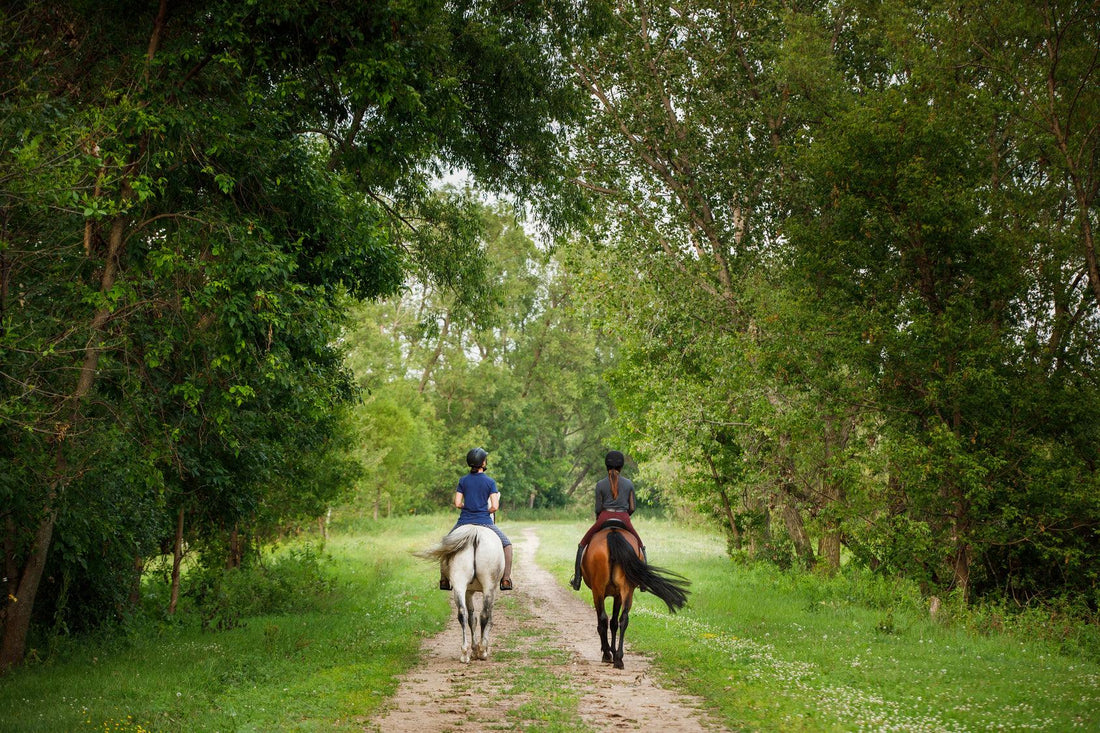 Protect Your Horse from Gnats with UltraShield Green 