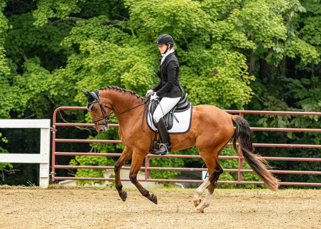 Absorbine Team Member Spotlight - Amy Cairy riding her dressage horse in an outdoor ring