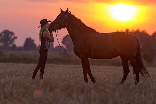 Cowgirl with horse in field at sunset, Absorbine Blog, Ingredients in fly spray