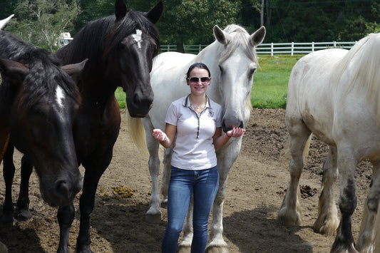 Margo Absorbine Spotlight with draft horses