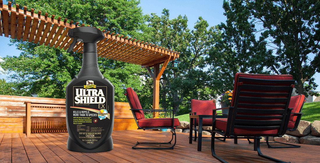 Patio deck with UltraShield EX bottle 