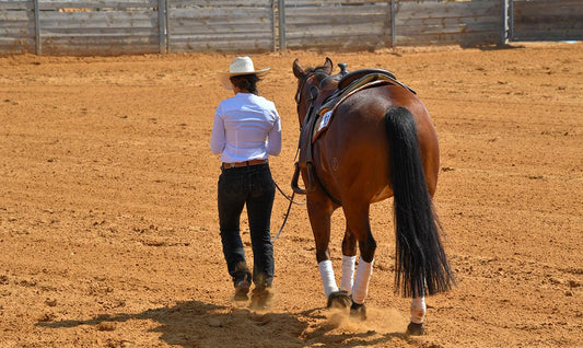 Absorbine Blog, cowgirl in ring walking with horse, blog about tangle free tails