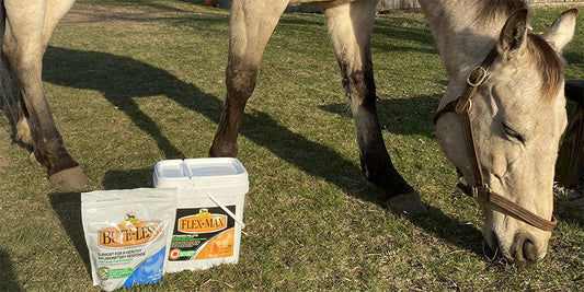 Combining Bute-Less® and Flex+Max® For Comprehensive Results