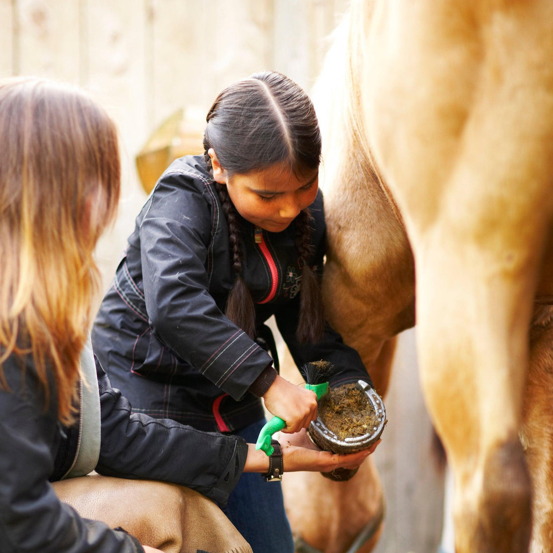 Tips For Before The Farrier Arrives