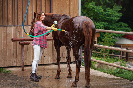 Six Water Myths About Horses Debunked