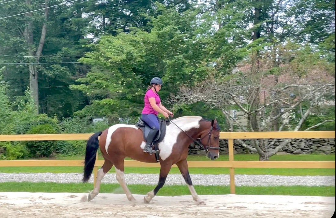 Casey Basta riding her horse in her riding ring for Absorbine Spotlight