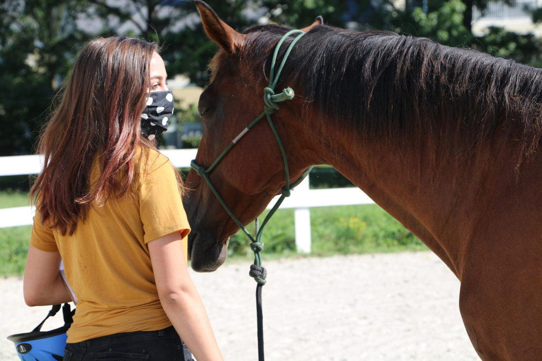 CORRAL Riding Academy