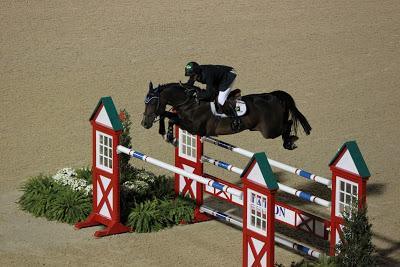 WEG Week Two - Absorbine