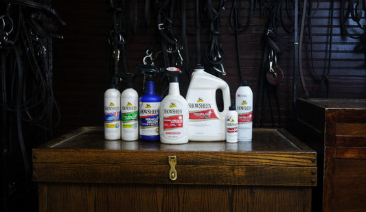 ShowSheen Grooming line on a tack trunk with leather tack in background