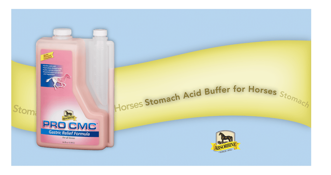 Absorbine Pro CMC for equine gastric upset