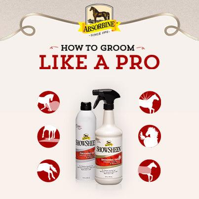 ShowSheen Grooming Tips (Infographic) - Absorbine