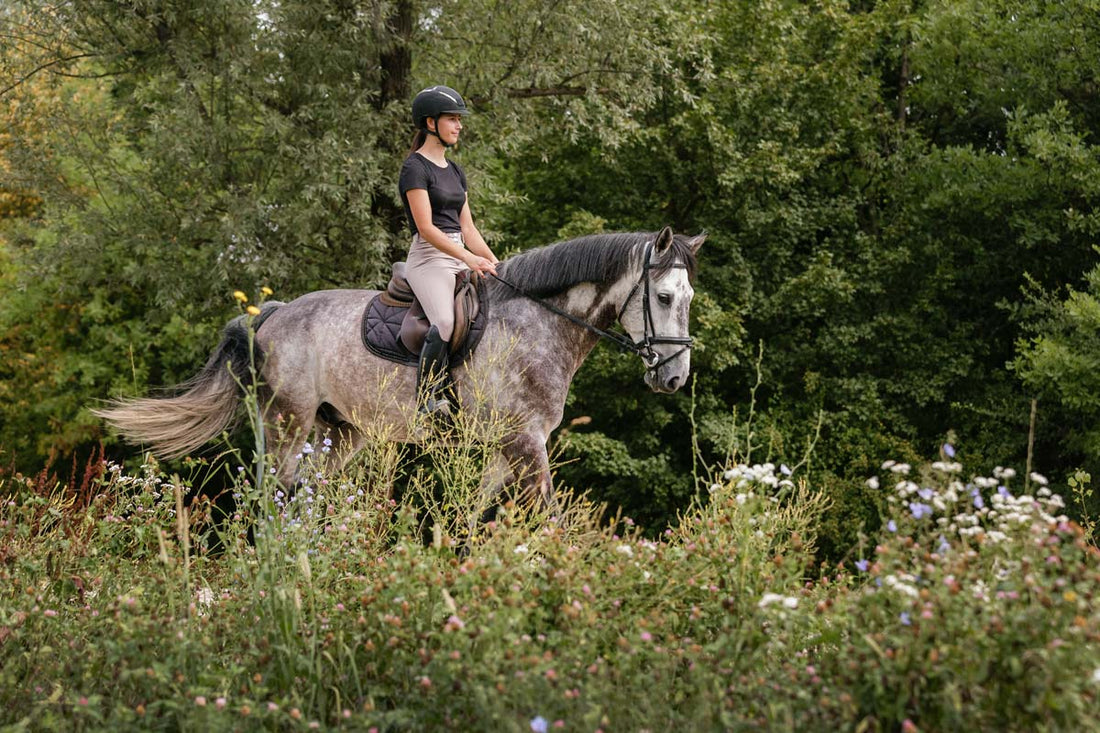 Woman riding a horse in a field of flowers - Absorbine Blog