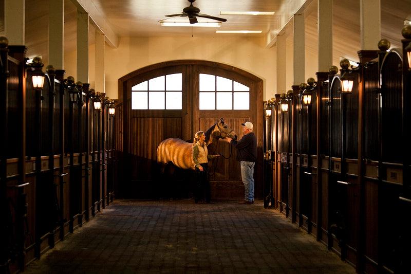 Absorbine Blog Using UltraShield as a premise spray in a barn aisle with a horse, veterinarian and owner. photo Stocklein 