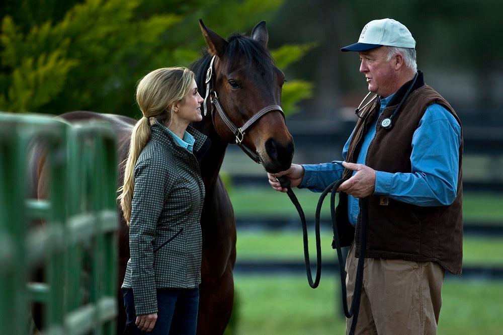 A horse with its owner and veterinarian talking next to a fence  for Absorbine Blog about Vesicular Stomatitis Outbreak