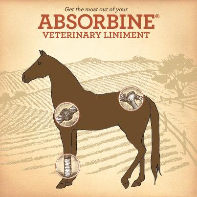 More Ways To Use Absorbine Veterinary Liniment - Absorbine