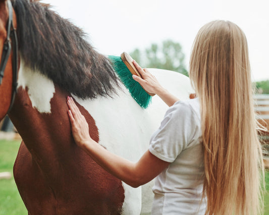 Spring Equine Grooming Questions & Answers