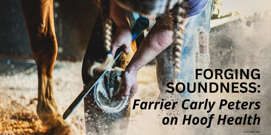 Forging Soundness: Farrier Carly Peters on Hoof Health